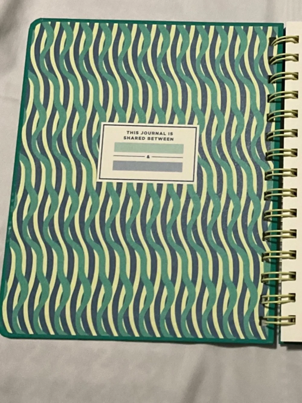 Tabitha Brown x Target Green Spiral Journal - Unused!